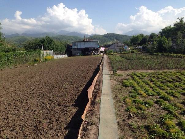 Продам участок., фотография 4