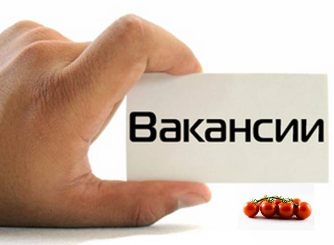 Требуется женщина-руководитель, фотография 1