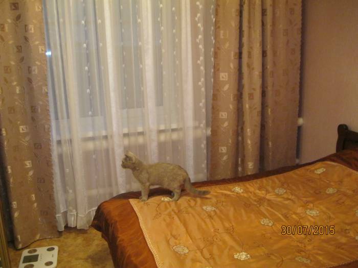 Продажа квартиры на земле, саратовская обл. р.п. Озинки ул.Фрунзе 41/1, фотография 8