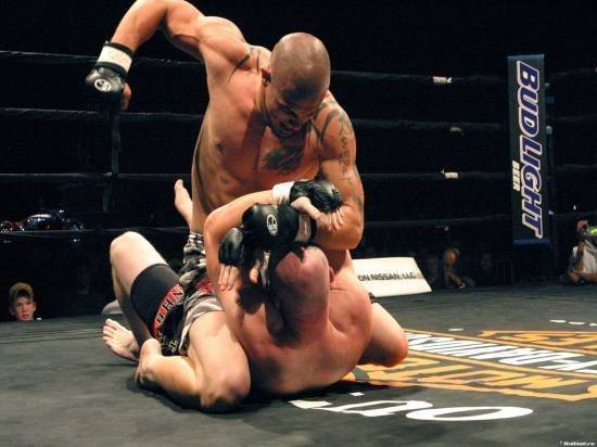 Смешанные единоборства Мix Figt, фотография 1