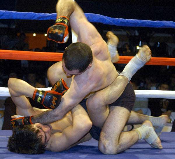Смешанные единоборства Мix Figt, фотография 2