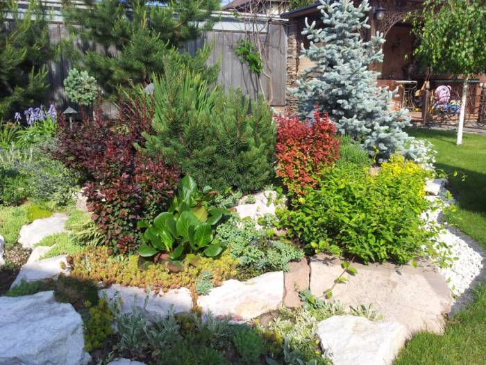 Ландшафтный дизайн. Озеленение., фотография 1