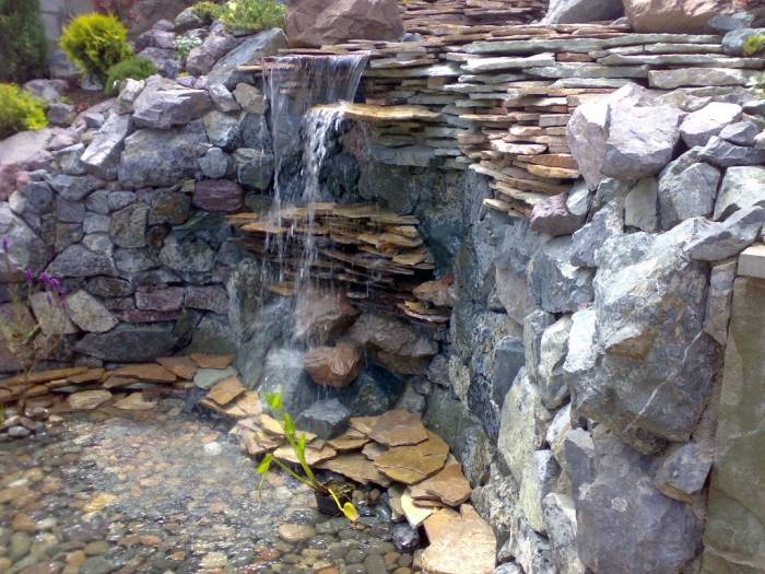 Ландшафтный дизайн. Озеленение., фотография 4