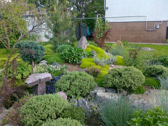 Ландшафтный дизайн. Озеленение., фотография 6