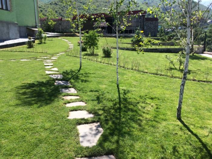 Рулонный газон, фотография 1