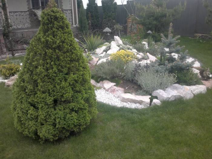 Рулонный газон, фотография 2