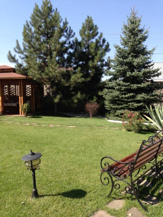 Рулонный газон, фотография 4