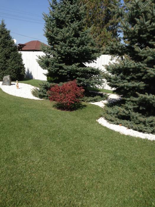 Рулонный газон, фотография 5