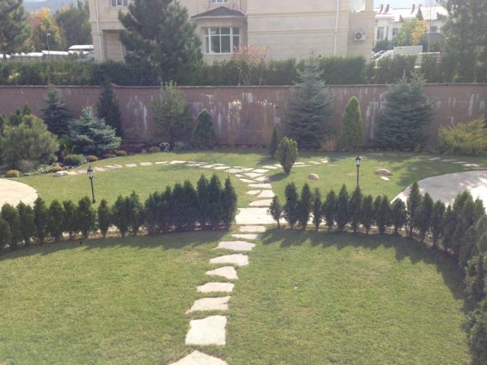 Рулонный газон, фотография 6