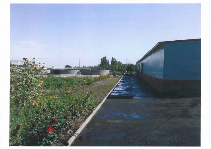 Форелевый питомник., фотография 2