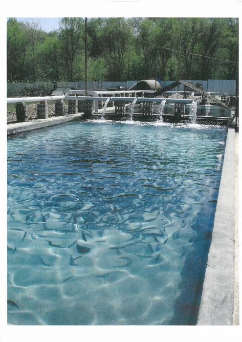 Форелевый питомник., фотография 5