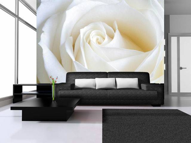 наклейка обоев,побелка, фотография 2