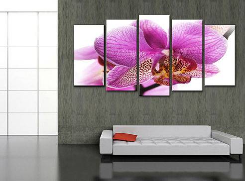 наклейка обоев,побелка, фотография 3