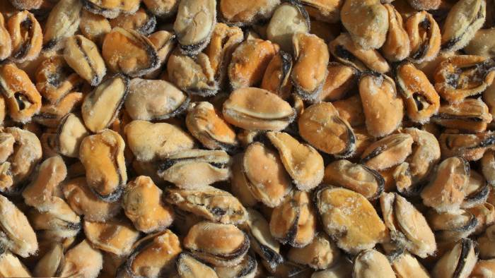 Оптовая продажа морепродуктами., фотография 8