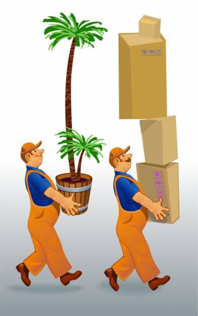 Грузчики наши предоставят с удовольствием свои услуги!, фотография 1