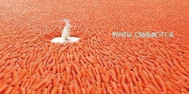 Поверь в себя, измени свою жизнь к лучшему !!!, фотография 1