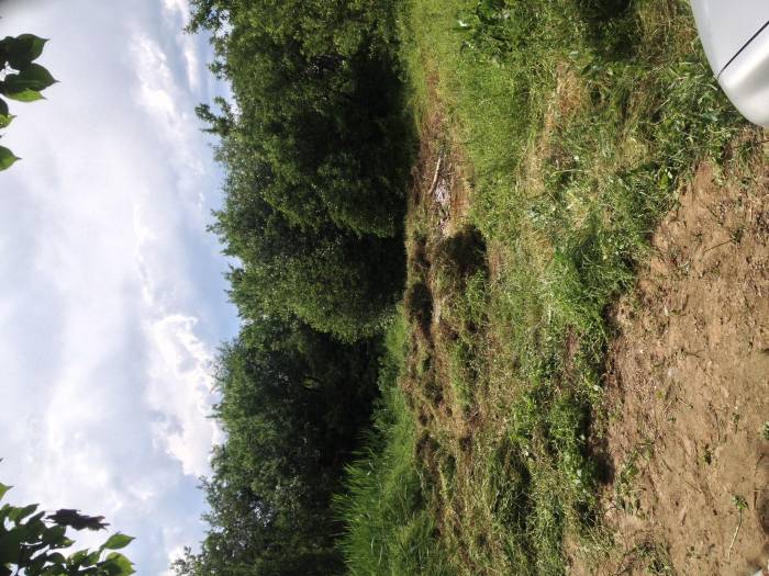 Продам участок, фотография 2