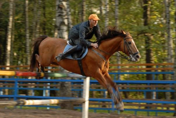 Конная школа, фотография 1