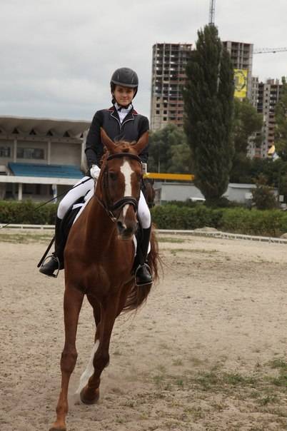 обучение лошадям, фотография 1