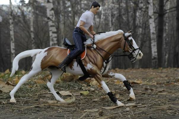 обучение верховой езде на лошадях, фотография 1