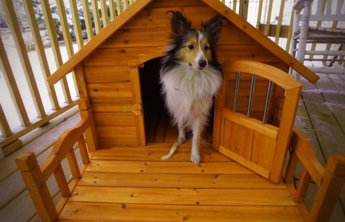 Деревянный домик для собак, фотография 1