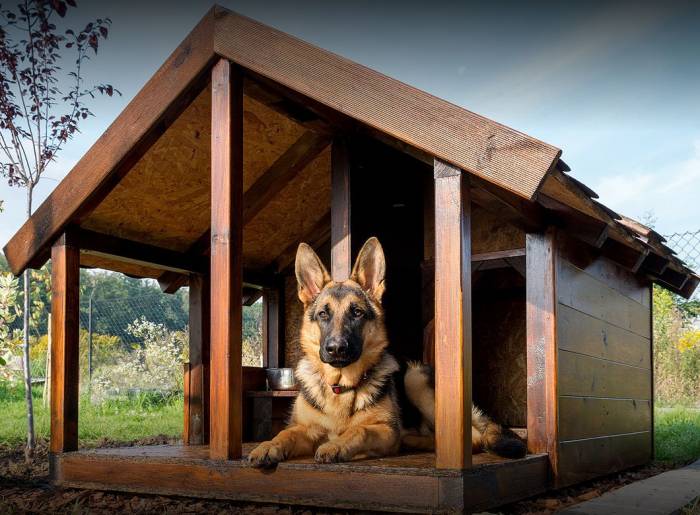 Деревянные будки для собак, фотография 1