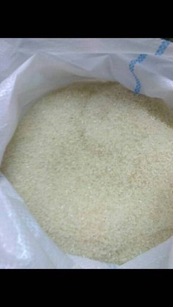 продам рис Камолино, фотография 1