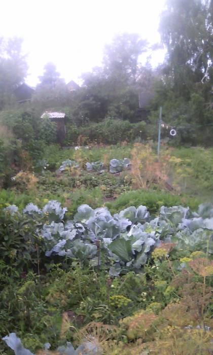 Продаю дом, Памирская 56, фотография 5