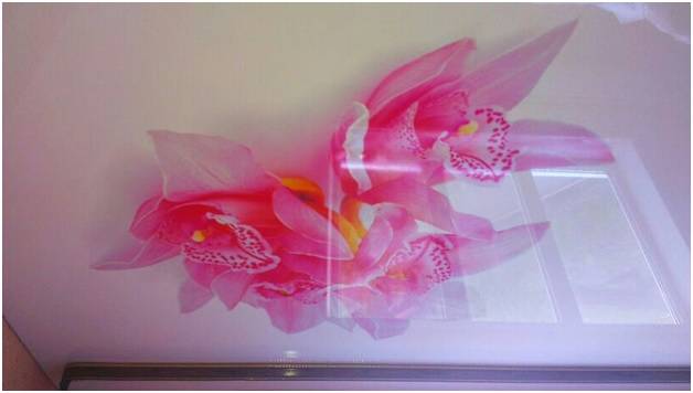 Натяжные потолки от производителя, фотография 4