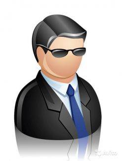 Помощник предпринимателя, фотография 1