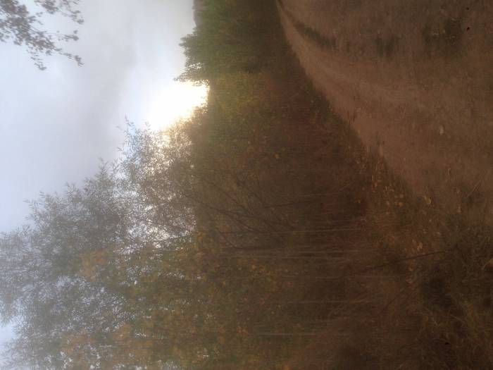 Продам участки , фотография 1