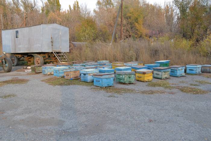 Крестьянское Хозяйство , фотография 8