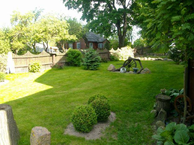 Услуга по озеленению, фотография 1