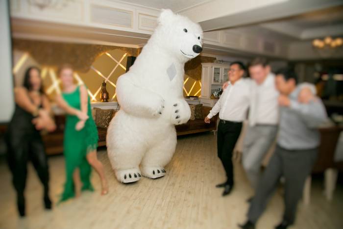 Ростовые мишки , фотография 2