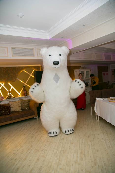 Ростовые мишки , фотография 3