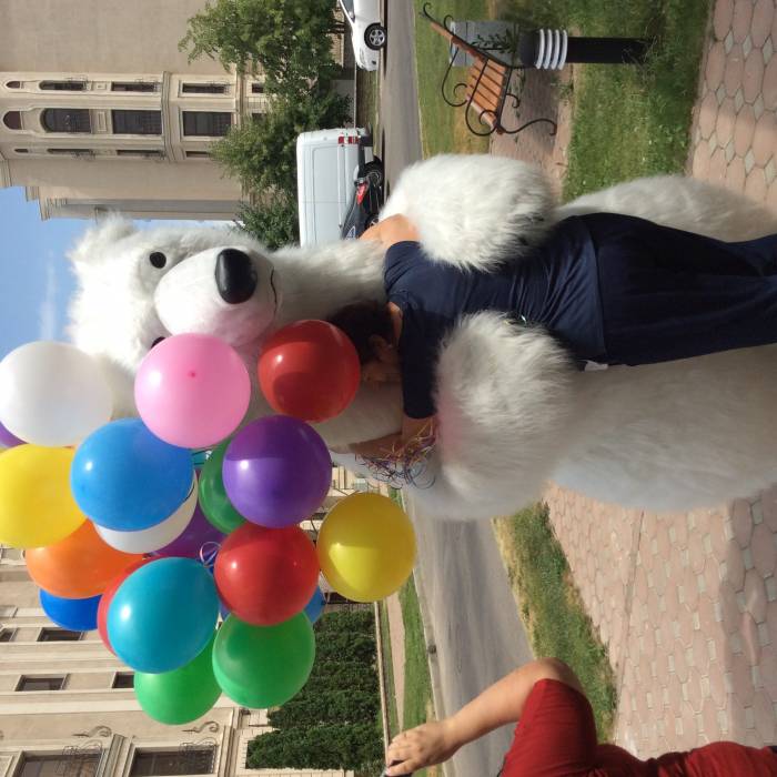 Ростовые мишки , фотография 4