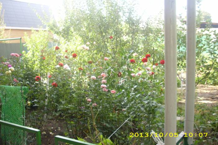 продам уютный дом, Гулдала Аль Фараби 62, фотография 4