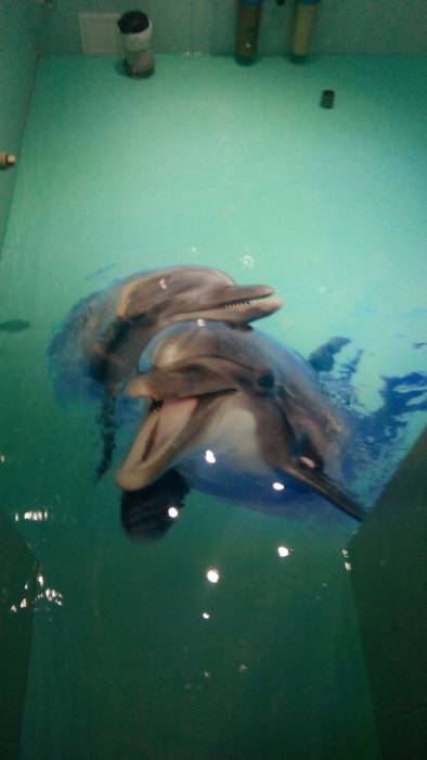 Полимерные полы, http://линдо-пол.рф, фотография 3