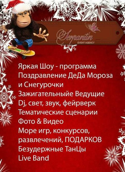 Ведущий на новый год и куча приятных бонусов в одном пакете услуг!, фотография 5