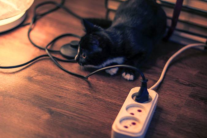 Срочно!! Отдам Милого Черного Котенка в добрые руки!!, фотография 1