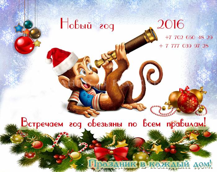 Тамада, ведущая Дина Омарбаева, фотография 2