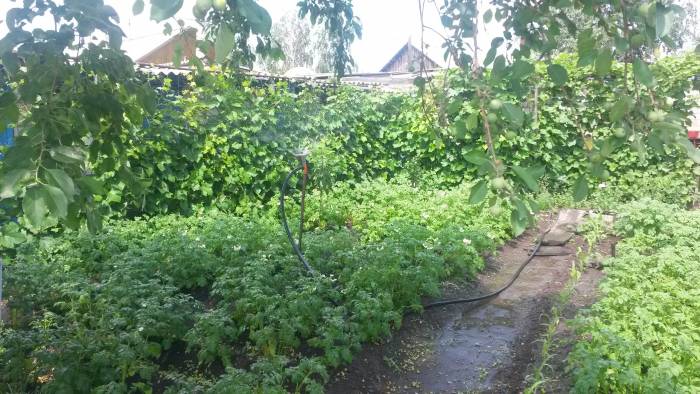 Срочно! Продам дом., Казахстанская, фотография 9