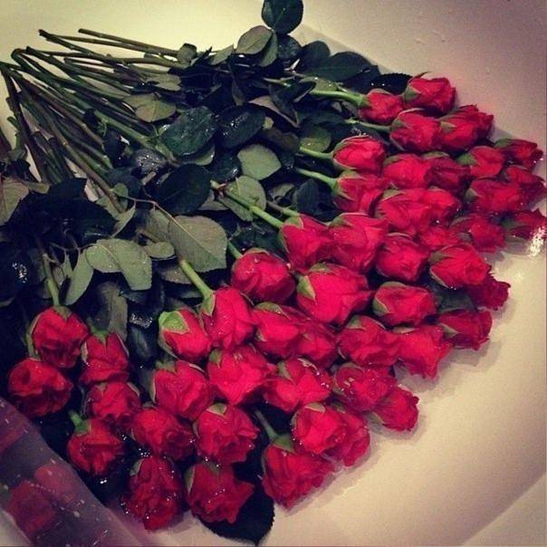 Цветы в Астане, фотография 5