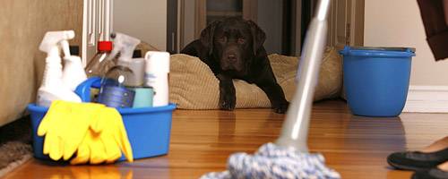 Генеральная уборка квартир.Недорого., фотография 1