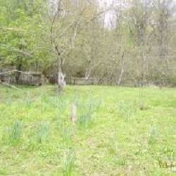 Продам земельный участок в Сочи, фотография 1