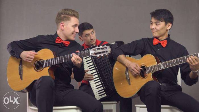 Инструментальная группа 