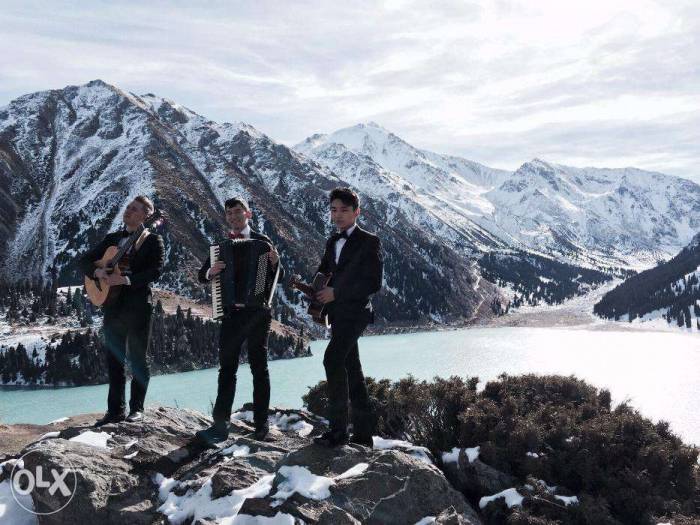 Инструментальная группа 