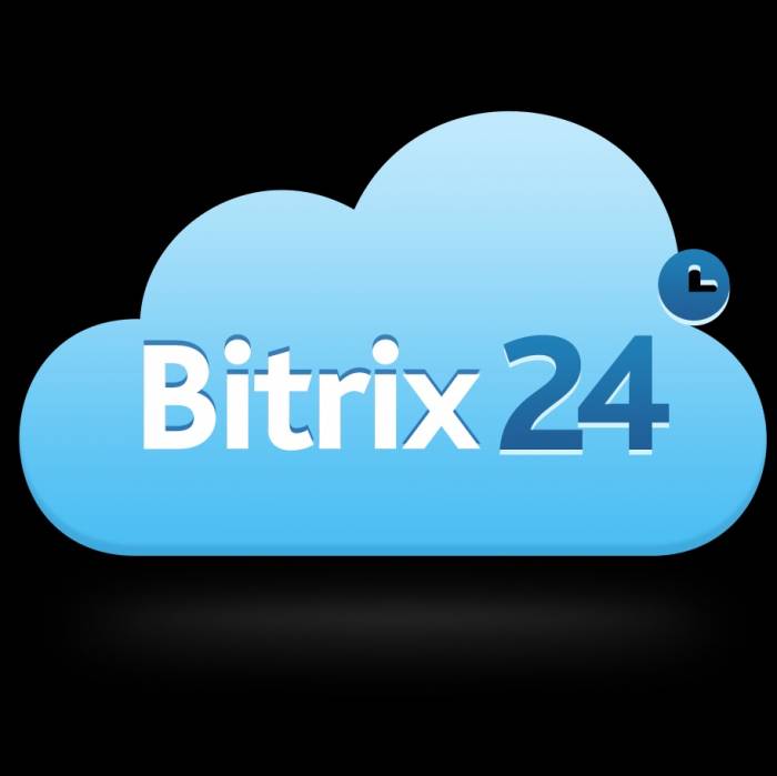 Bitrix24: Корпоративный портал, фотография 1