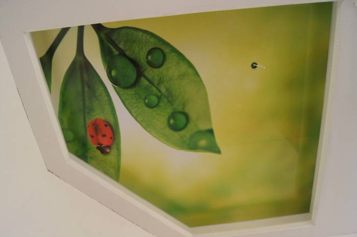 НАТЯЖНЫЕ ПОТОЛКИ , фотография 3