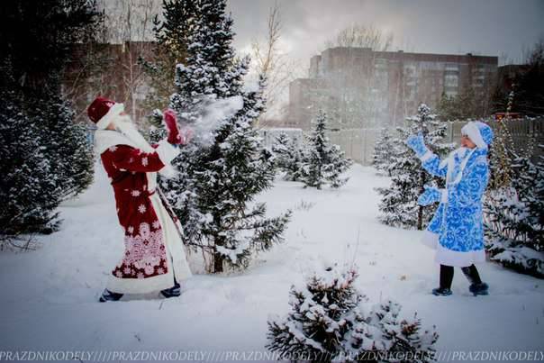 Дед Мороз и Снегурочка придут к вам домой, фотография 1